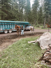 Horseback Trip