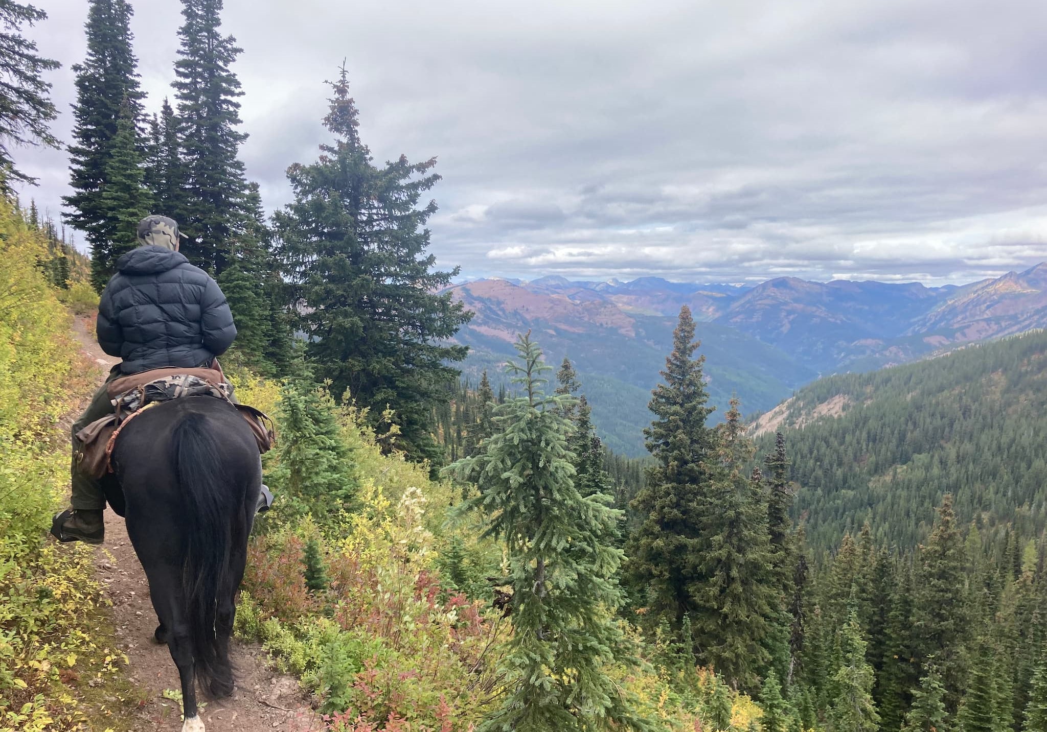 Horseback Trip - Main Image