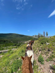 Horseback Trip