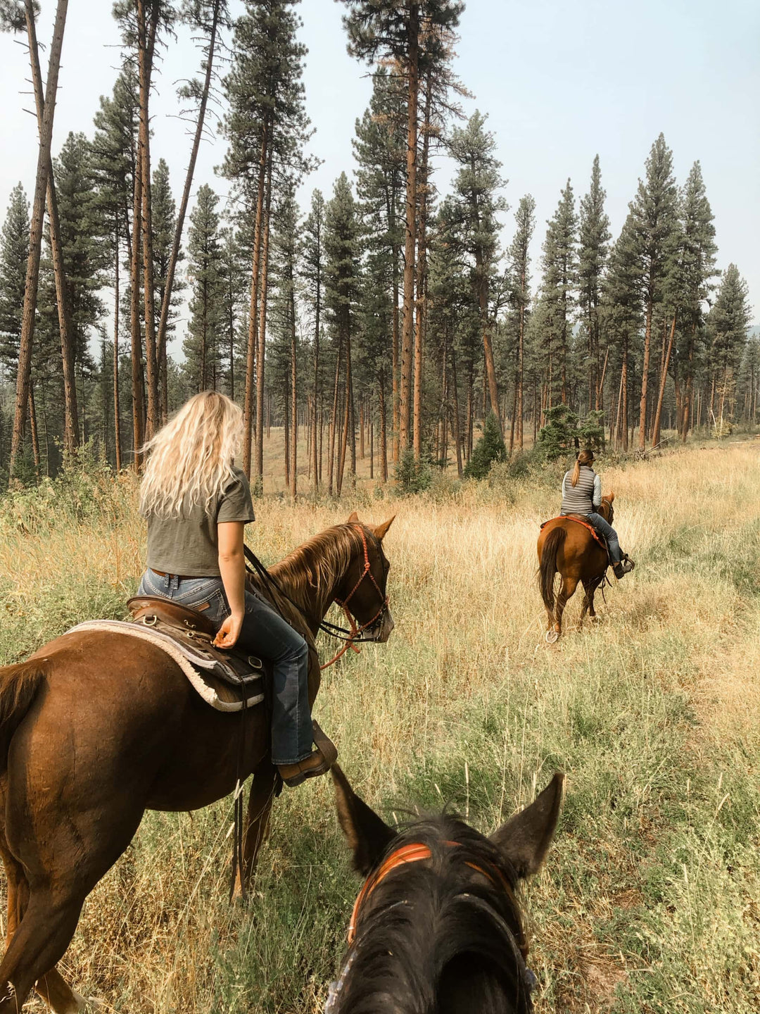 Horseback Trips | Spotted Bear Ranch Explore Montana