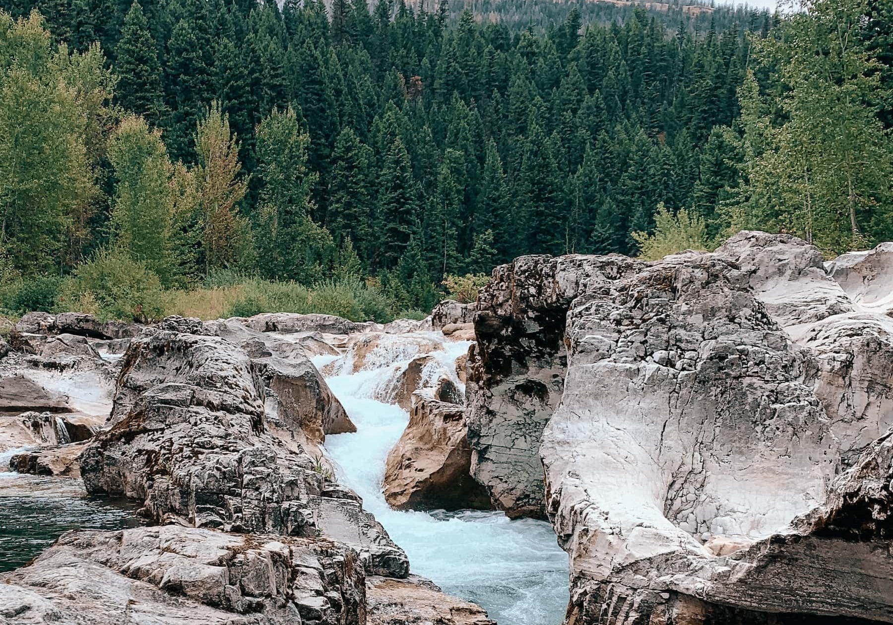 Northwest Montana Outfitters (FWP Region 1)